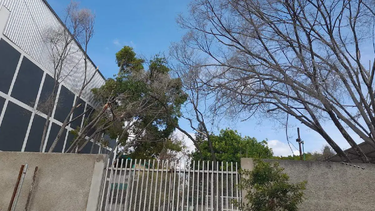 Esta es la escuela Secundaria Jorge L. Tamayo